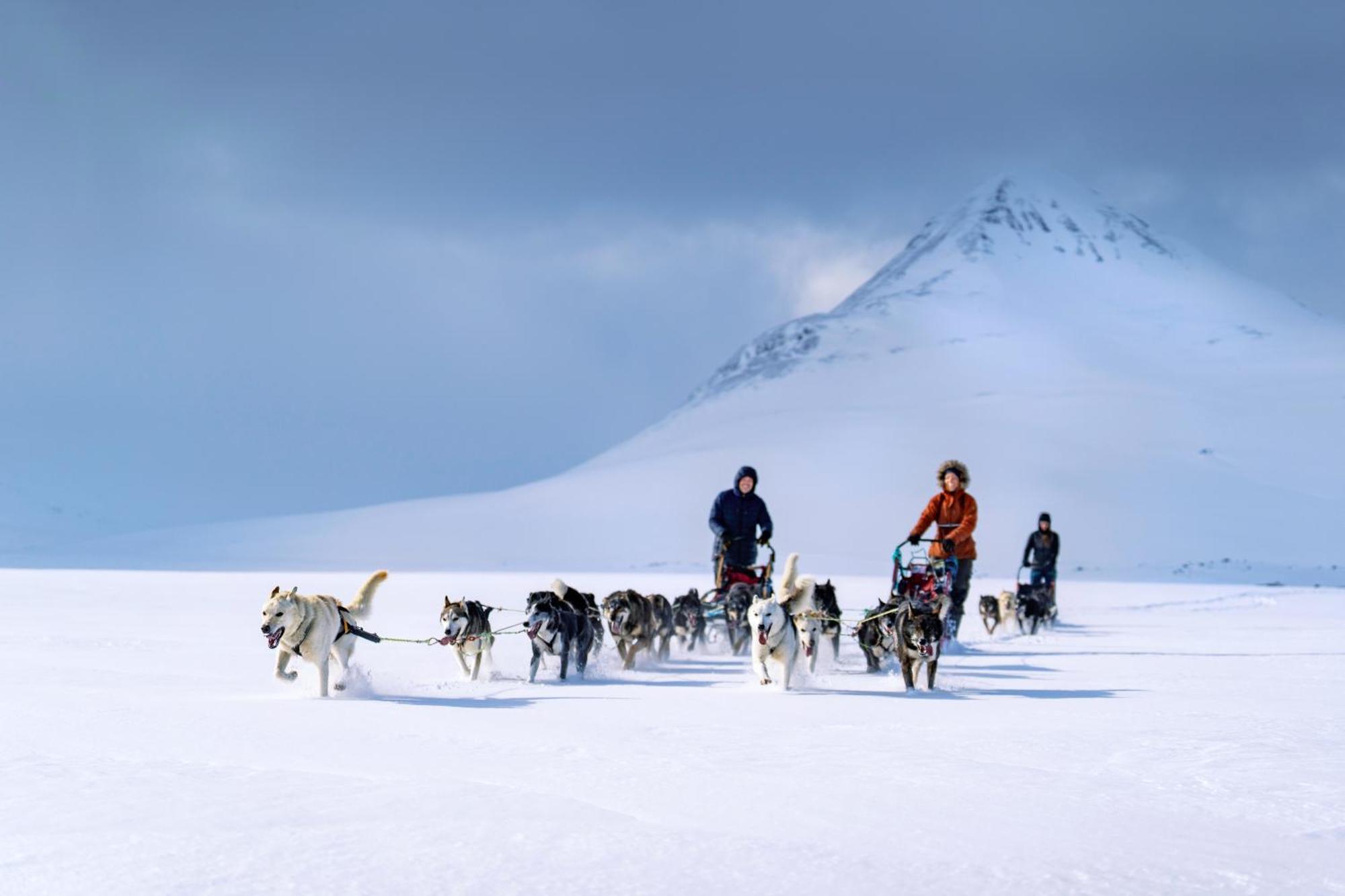 Reisa Lodge Storslett Kültér fotó