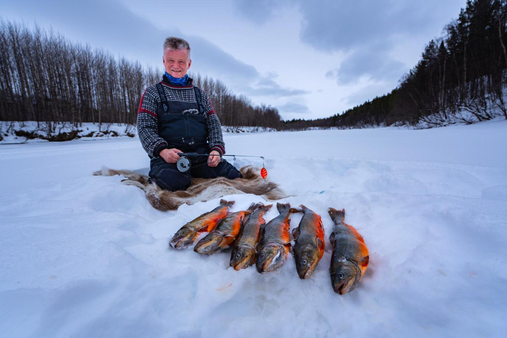 Reisa Lodge Storslett Kültér fotó