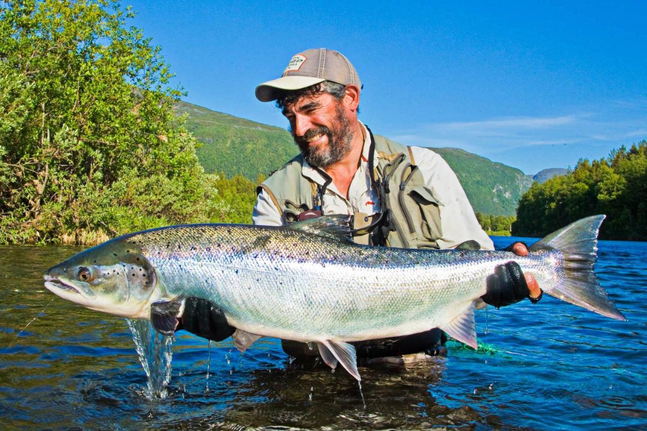 Reisa Lodge Storslett Kültér fotó